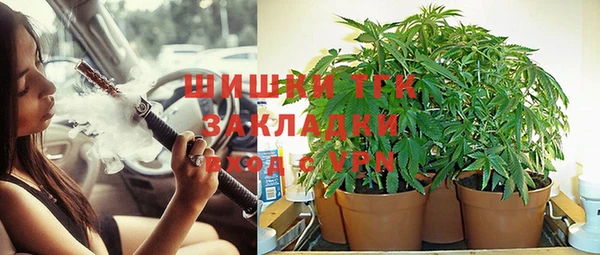 бошки Алексин