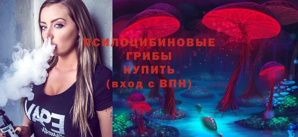 МДПВ Наволоки