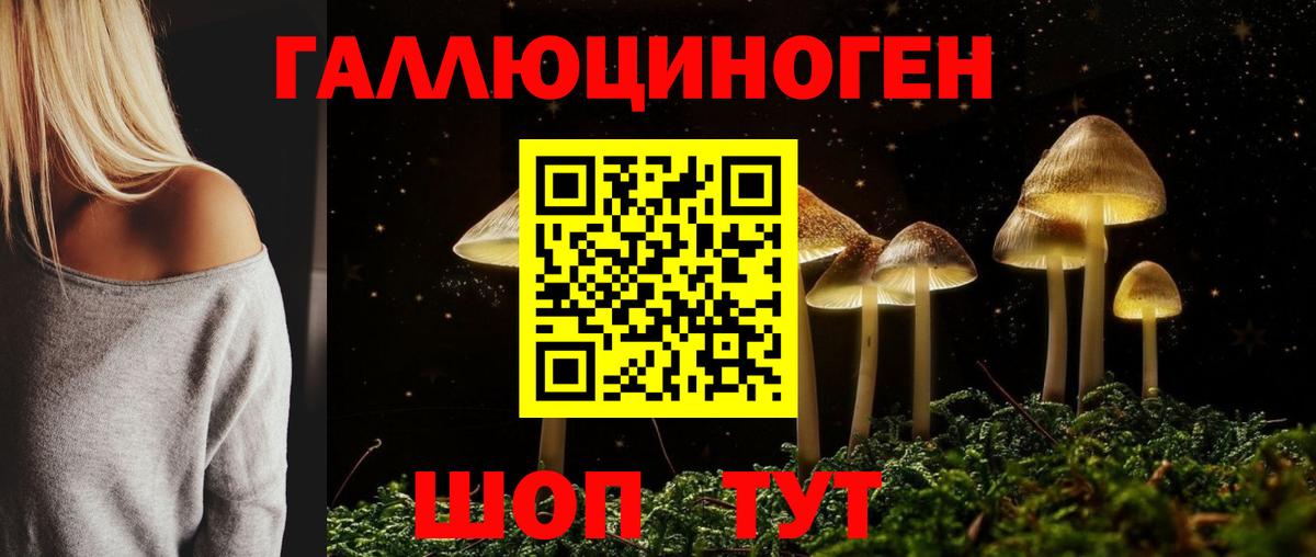 Псилоцибиновые грибы Cubensis  купить наркотик  Сургут  Вход с VPN 