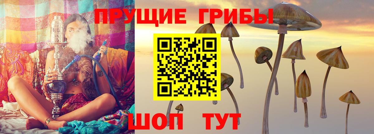 Псилоцибиновые грибы MAGIC MUSHROOMS  Сургут  Псилоцибиновые грибы прущие грибы 
