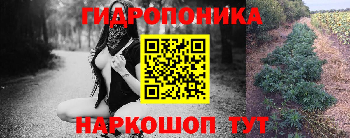 Каннабис SATIVA & INDICA Сургут